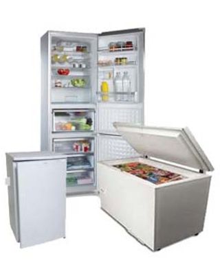 domestic fridge range